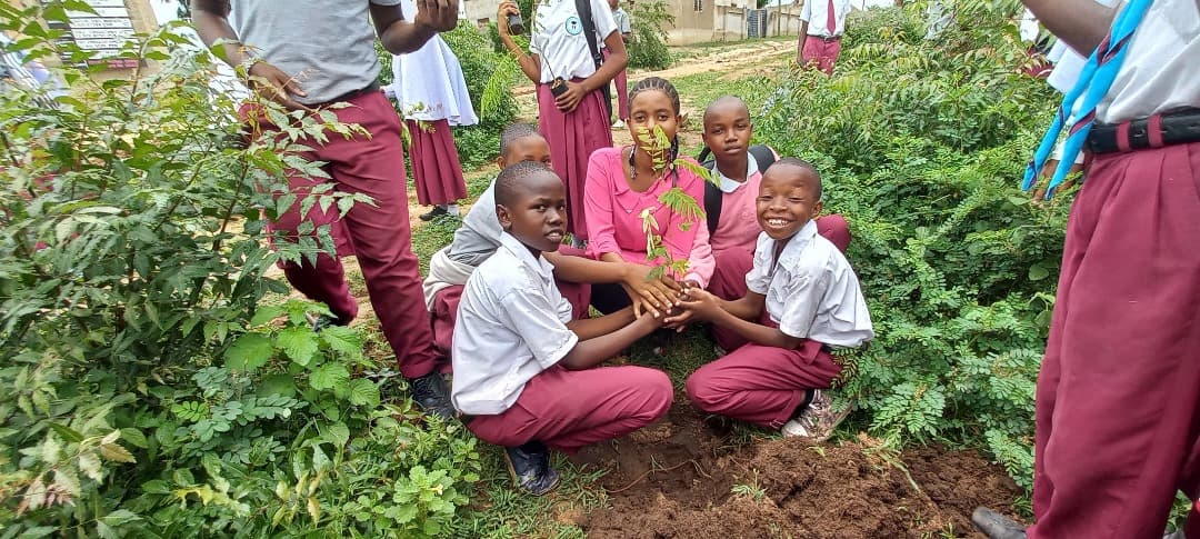Students in school uniform planting a tree seedling together